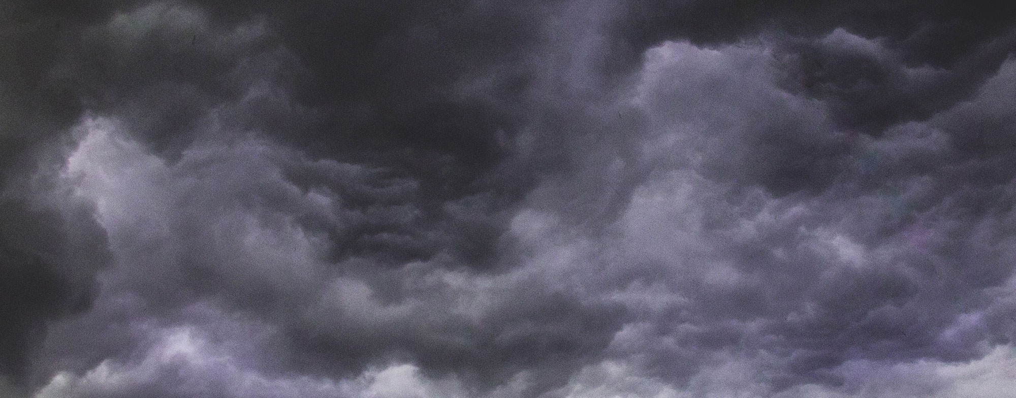 disaster and catastrophe insurance